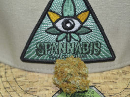 Muestra participante