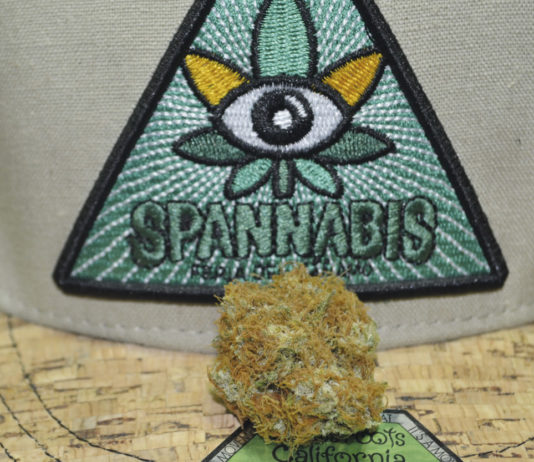 Vaporizando la Spannabis Champions Cup Muestra participante