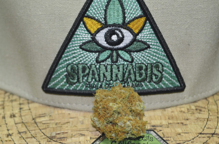 Muestra participante