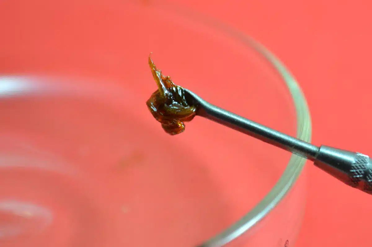 Rosin extraído de flores CBD-rich