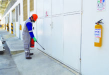 Control de plagas de cannabis: consejos para invierno