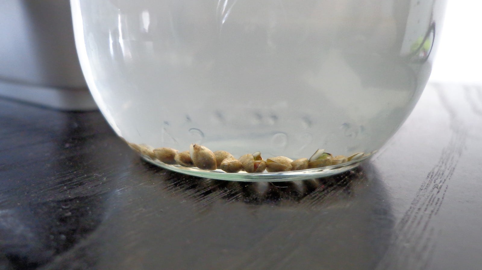 Influencia lunar detalle 2