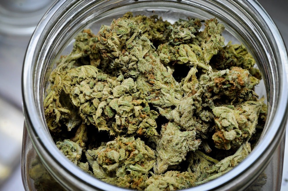 Semillas de cannabis detalle 2