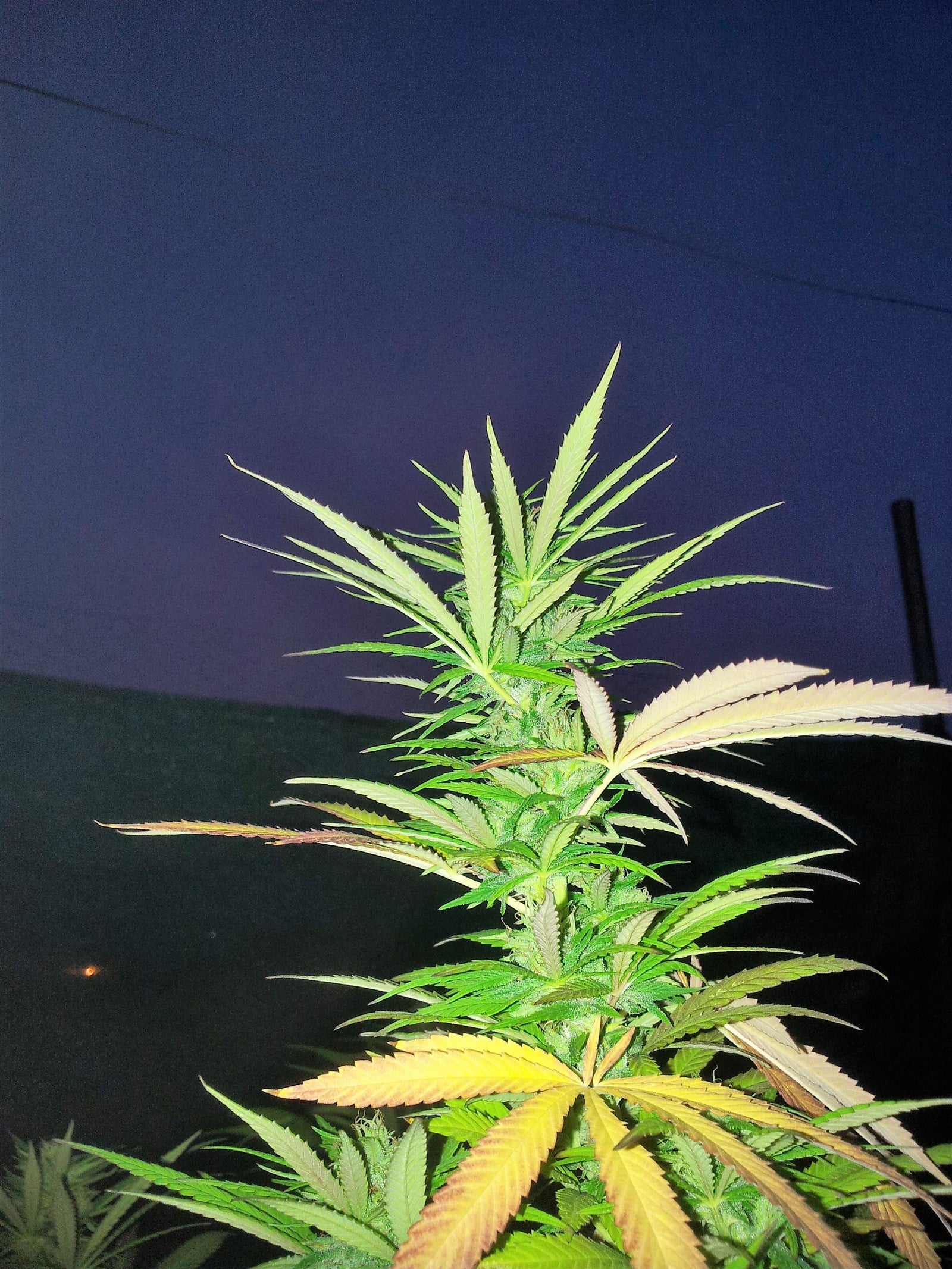 Influencia lunar detalle 3