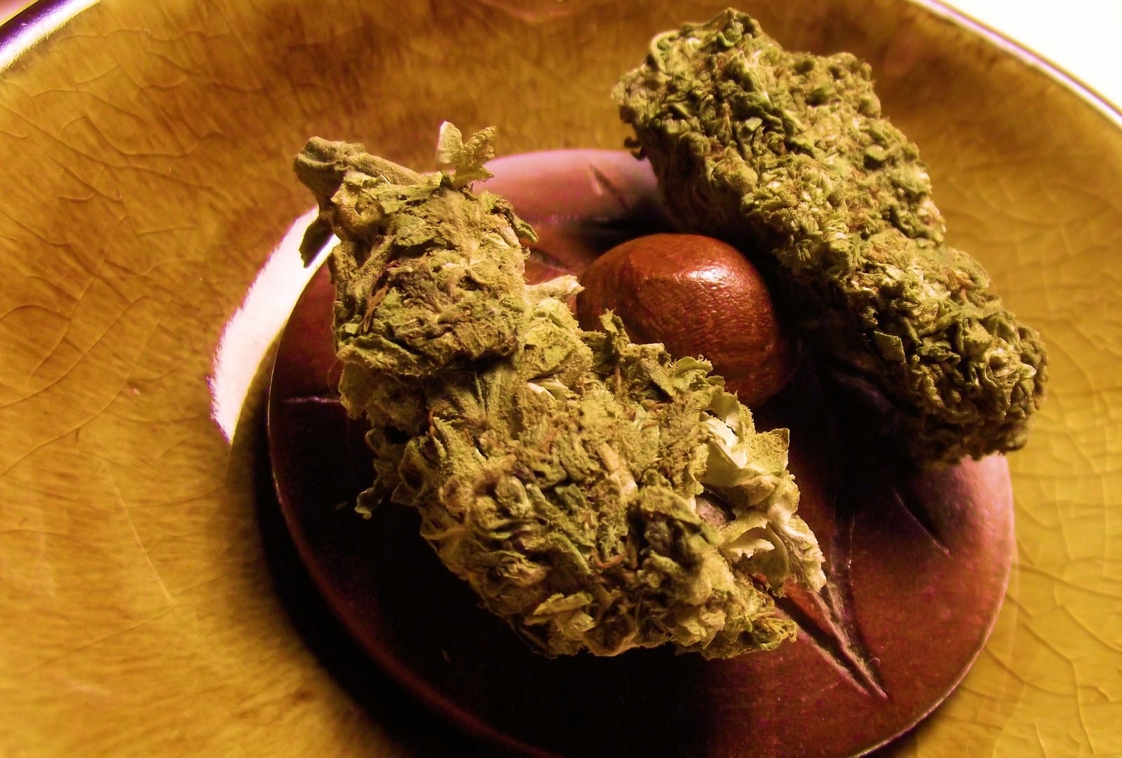 semillas de cannabis