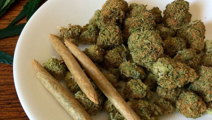 Semillas de cannabis detalle 4