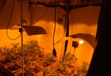 Introducción a la hidroponía