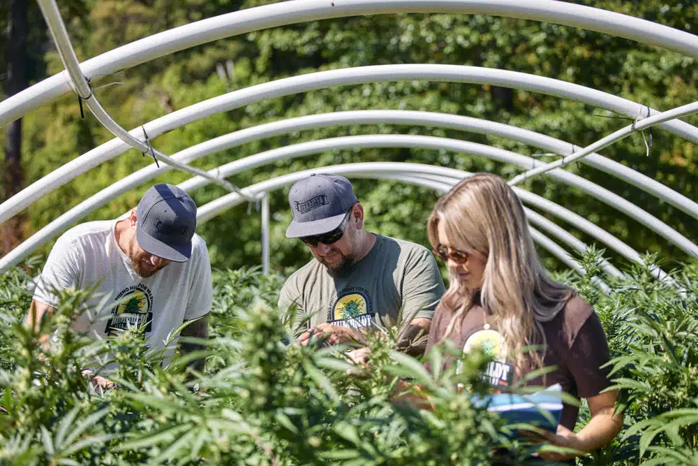 Benjamin Lind, Co-founder & Chief Science Officer, Nathaniel Pennington, Founder & CEO, Halle Pennington, Products Executive on 2025 phenohunt for washers in California - photo credit - Chris Romaine @KandidKus