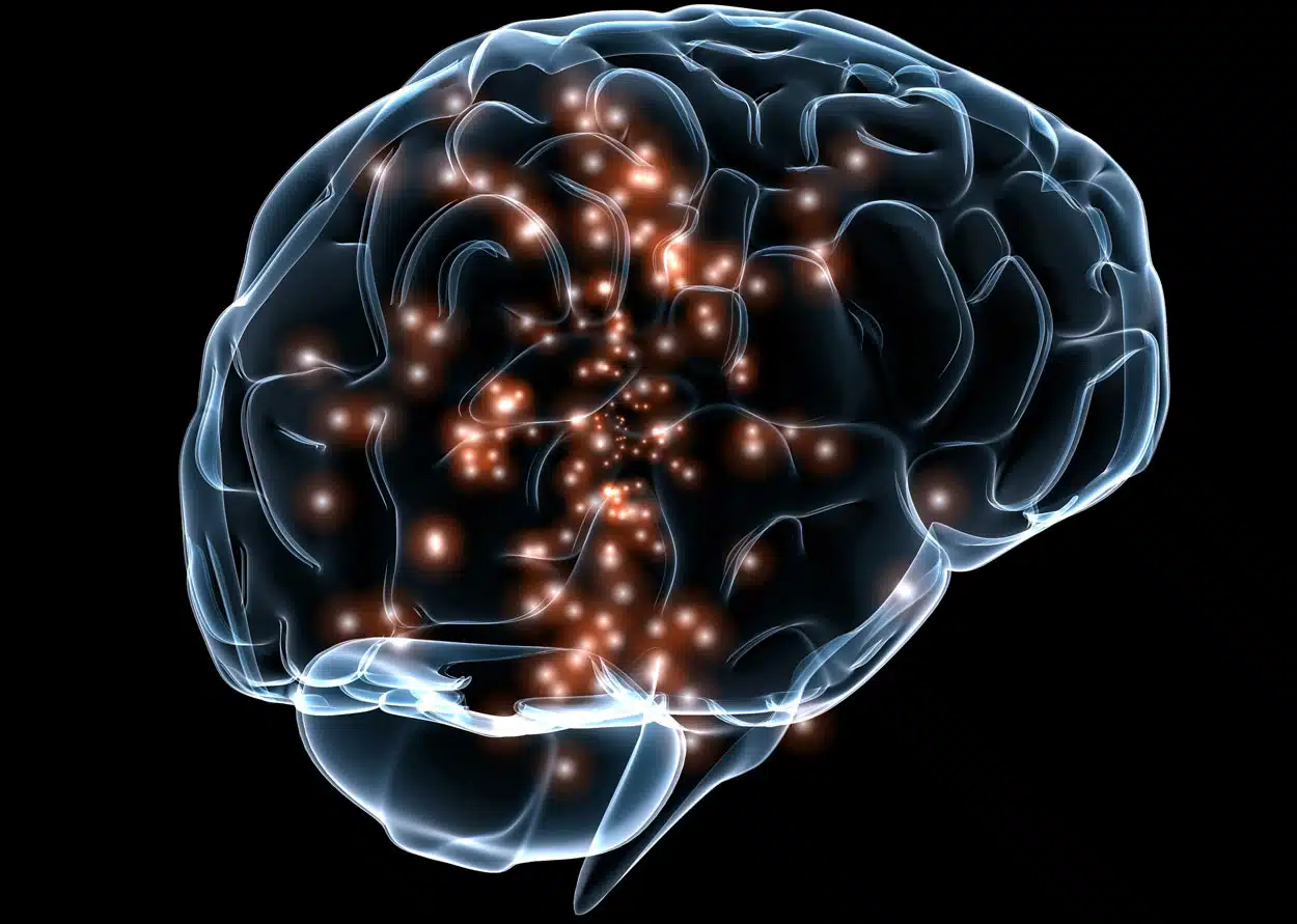 El cerebro sigue suponiendo un reto para la ciencia del siglo XXI