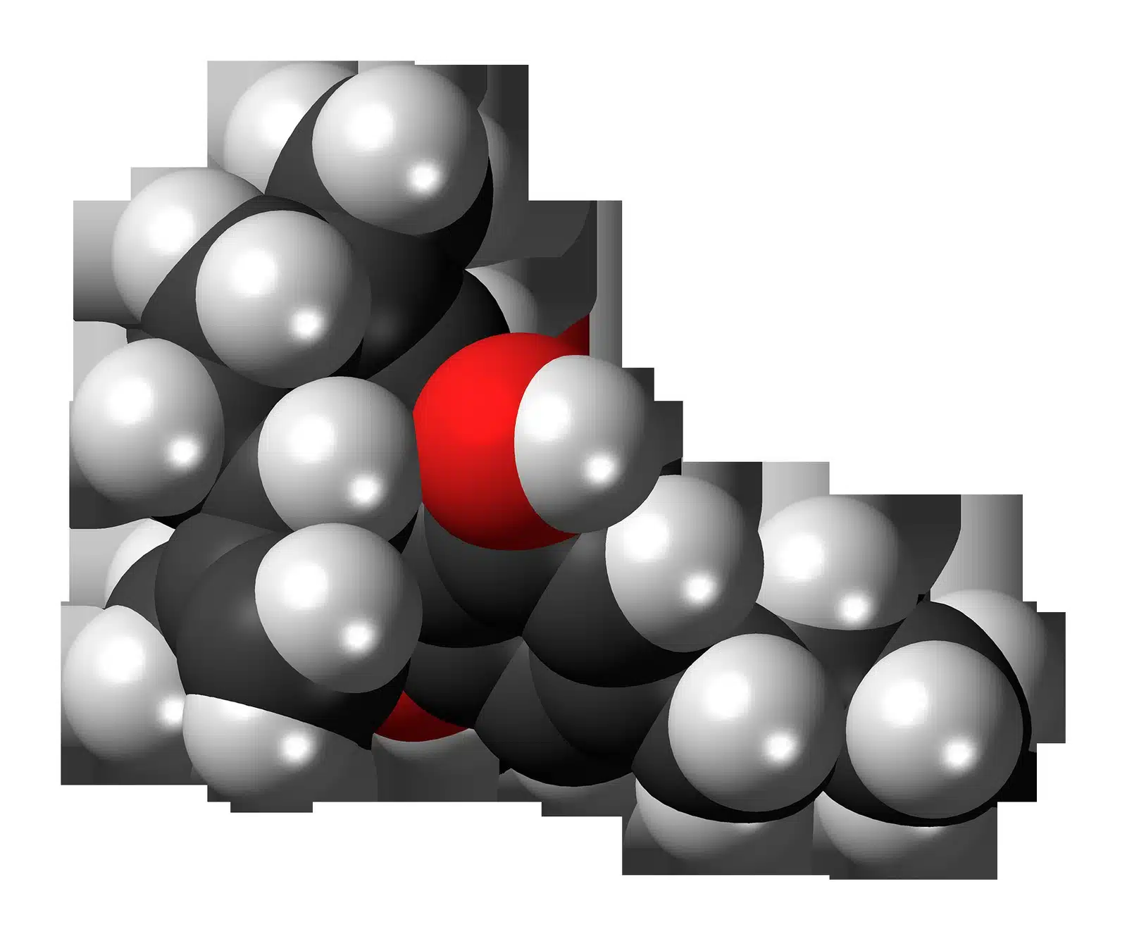 Cannabinoides terapéuticos foto 1