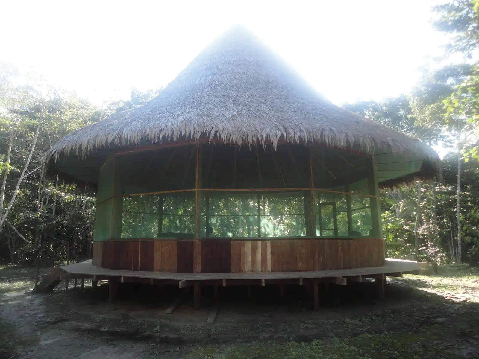 Ayahuasca detalle 2