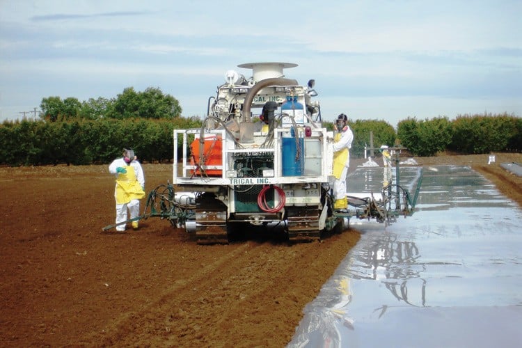 &Aacute;cidos h&uacute;micos detalle 3
