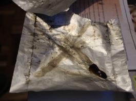 Terapias de asistencia con heroína: historia e implementación Terapias de Asistencia con Heroína