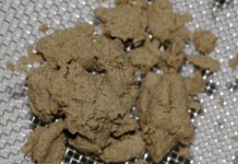 Cannabis medicinal: una solución para enfermedades arteriales