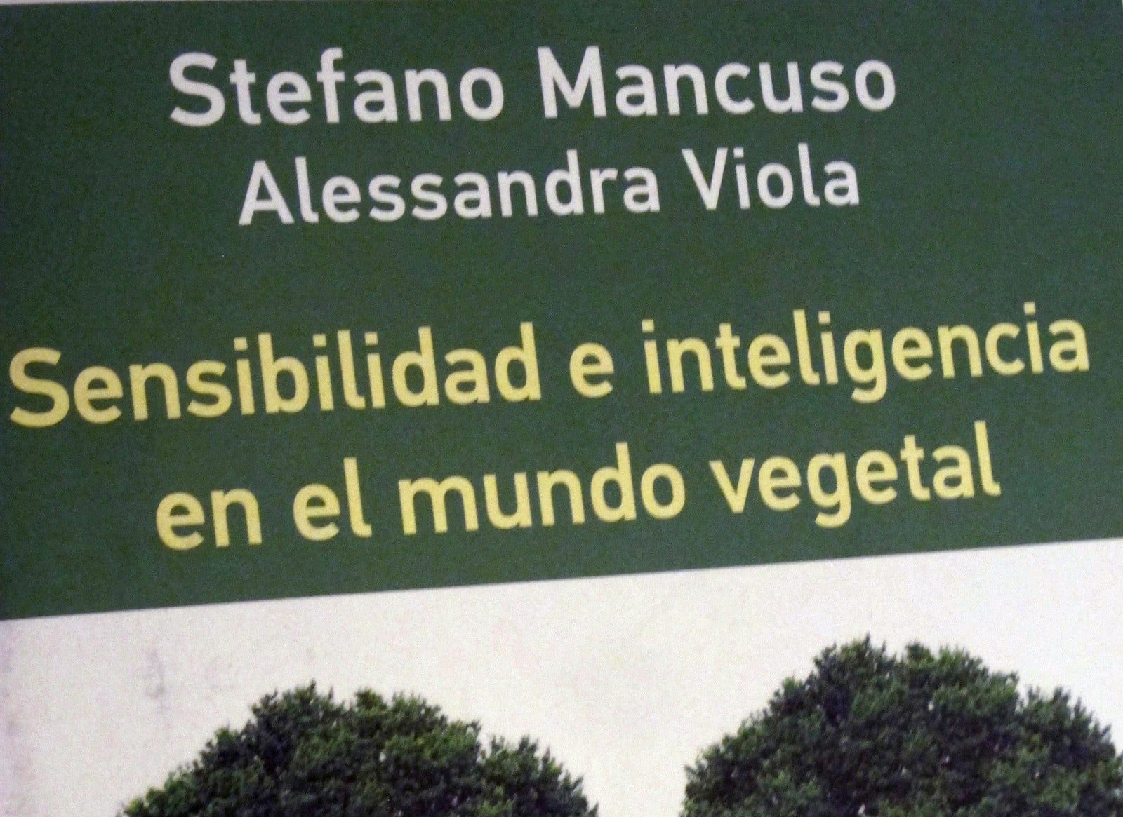 La vida y obra de Josep Pla: Observador de su tiempo