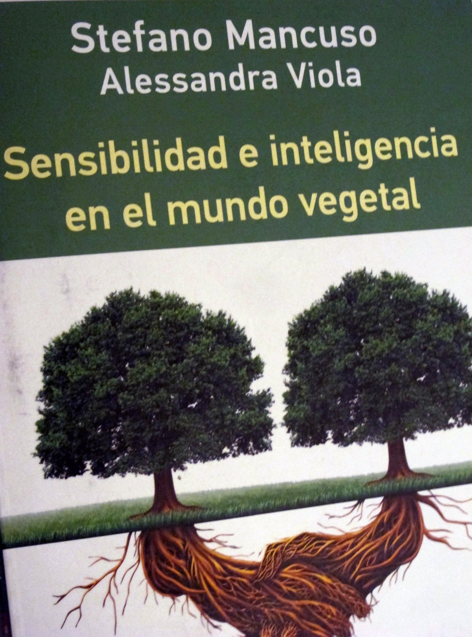 Josep Pla detalle 1