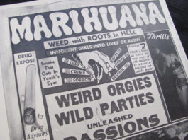 El cannabis en los años 40: estudios sobre la adicción y el control social
