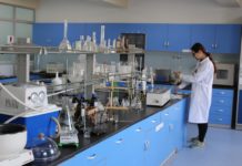 Aminoácidos en plantas: Una revolución en la agricultura moderna aminoácidos en plantas