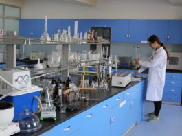 Aminoácidos en plantas: Una revolución en la agricultura moderna aminoácidos en plantas