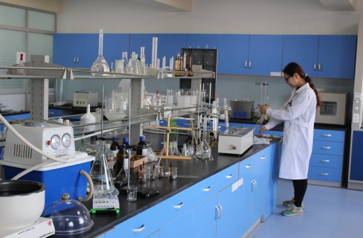 Aminoácidos en plantas: Una revolución en la agricultura moderna aminoácidos en plantas