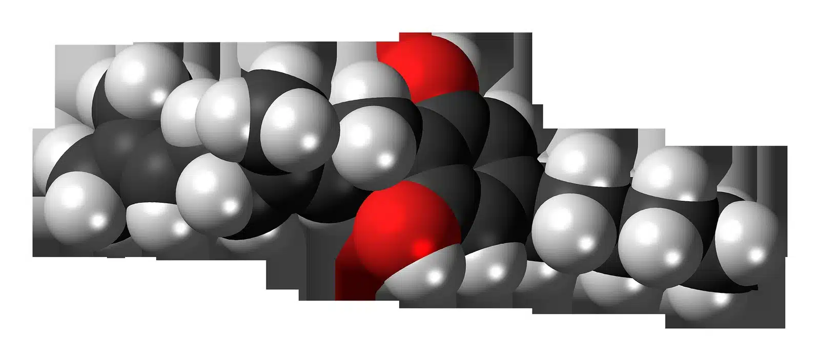 Cannabinoides y terpenos detalle 4