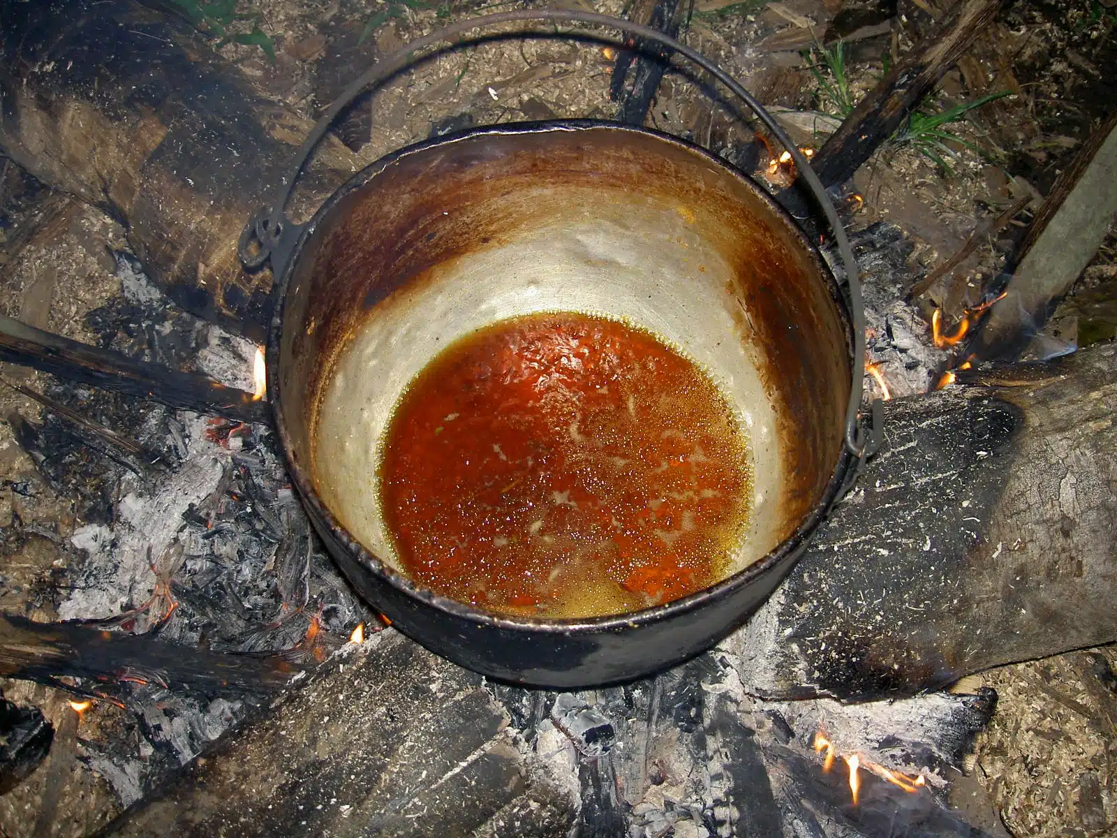 Ayahuasca detalle 4