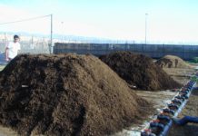 Ácidos húmicos en el cultivo de cannabis