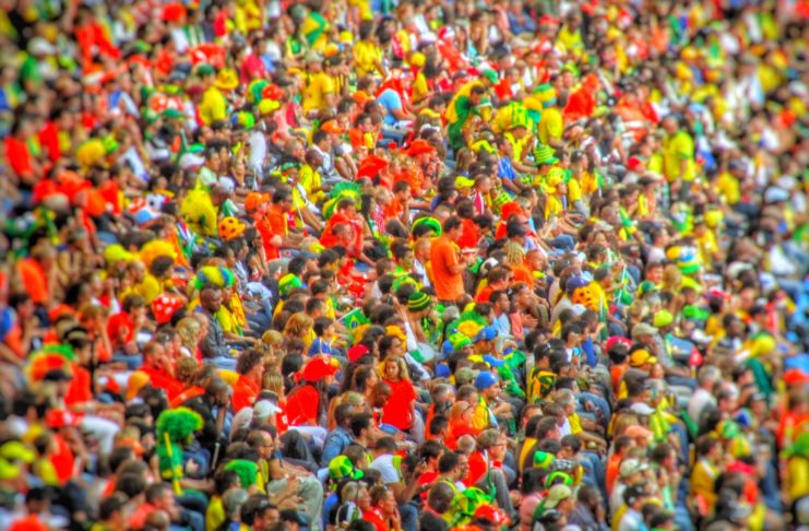 Cannabis y enfermedades neurodegenerativas