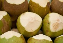 Introducción a la agricultura ecológica