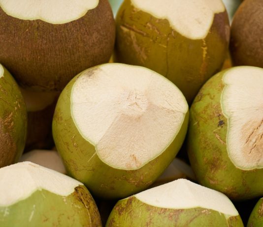 Introducción a la agricultura ecológica