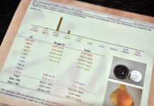 Extracciones con solventes: Descubre sus secretos