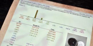 Extracciones con solventes: Descubre sus secretos