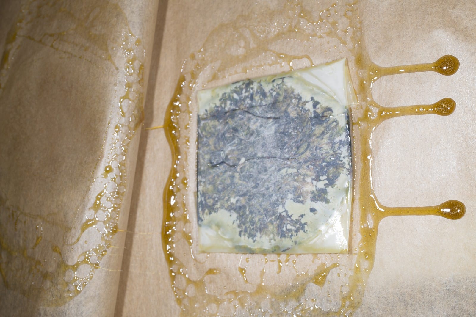 Extracción de Rosin detalle 4