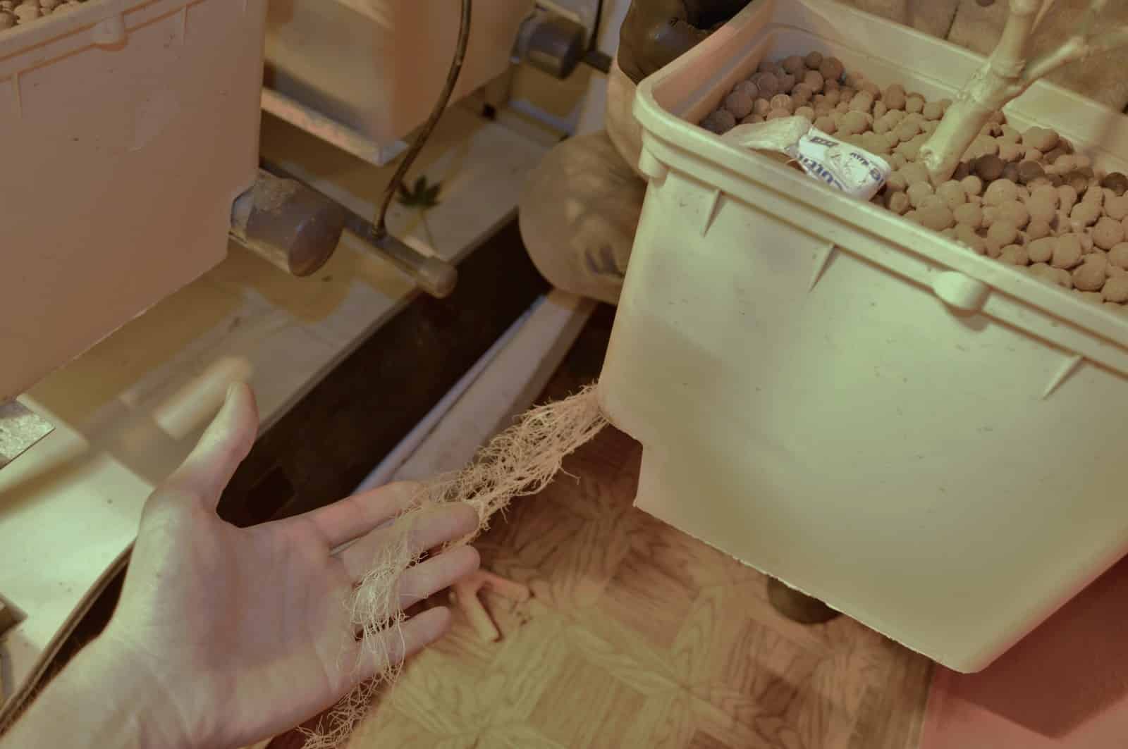 Hidropon&iacute;a detalle 1