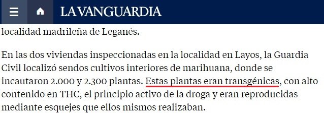 Marihuana detalle 4