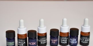 Mezclando perfiles terp&eacute;nicos con destilado de CBD
