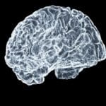 Imagen de investigación cerebral para ilustrar un ensayo con psilocibina en depresión resistente