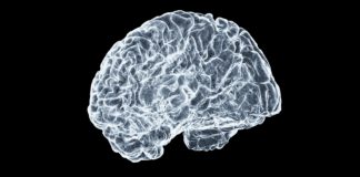 Imagen de investigaci&oacute;n cerebral para ilustrar un ensayo con psilocibina en depresi&oacute;n resistente
