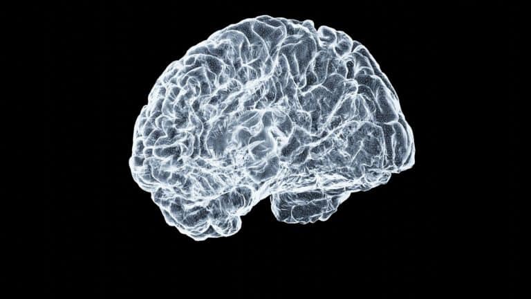 Imagen de investigación cerebral para ilustrar un ensayo con psilocibina en depresión resistente