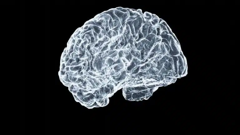 Imagen de investigación cerebral para ilustrar un ensayo con psilocibina en depresión resistente