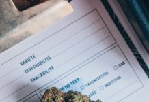 Oklahoma mantiene intactas sus reglas ante la disputa federal sobre cannabis medicinal Oklahoma mantiene intactas sus reglas ante la disputa federal sobre cannabis medicinal