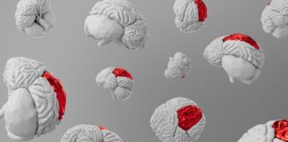 Brain background wallpaper