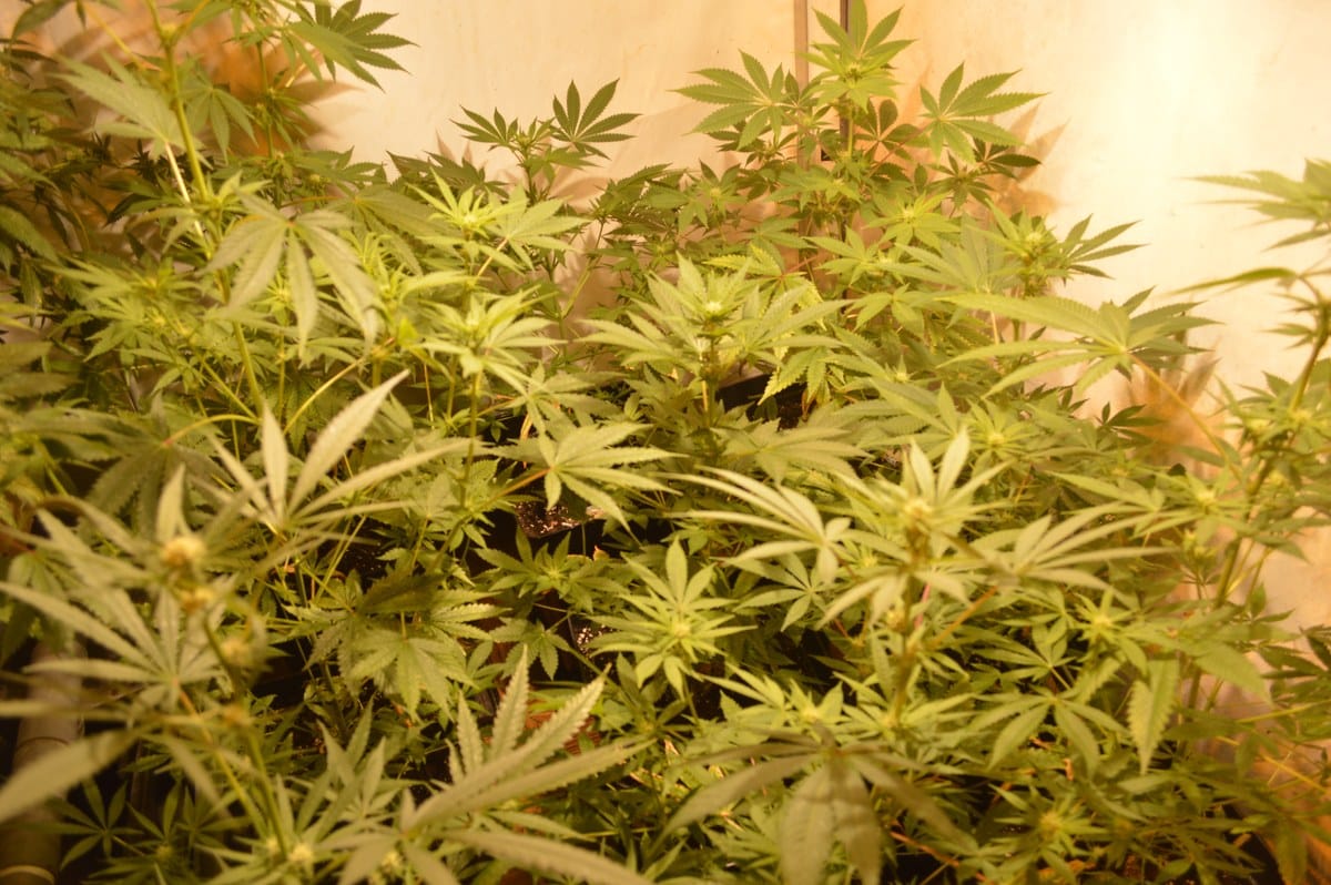 tecnología LEC detalle 3