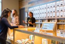 Rhode Island reabre las solicitudes de tiendas de cannabis Plantas de cannabis medicinal en un cultivo regulado