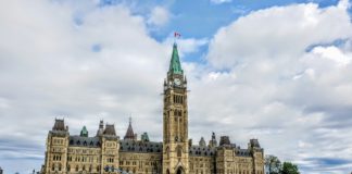 Canadá registra un proyecto para abrir el acceso médico a la psilocibina