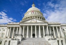 La Cámara de EE. UU. pide al Pentágono estudiar vías legales para psicodélicos Our Nation’s Capital