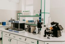 La psilocibina mejora marcadores de daño cerebral crónico en ratas Pavilion of clinical and laboratory disciplines of the Trnava University in Trnava.