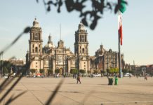 COFEPRIS acata el fallo de la SCJN sobre autoconsumo de cannabis en México COFEPRIS acata el fallo de la SCJN sobre autoconsumo de cannabis en México