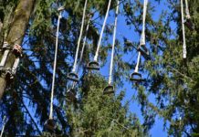 Cáñamo sostenible: la opción natural para el deporte Cáñamo sostenible imagen 1