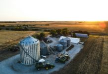 Nebraska autoriza la primera plantaci&oacute;n legal de cannabis medicinal